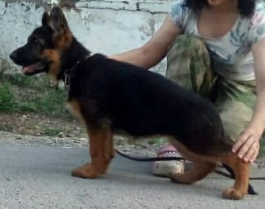  2 мес 9 дней 2.jpg